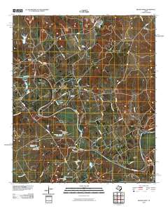 Brazos Point 2010 topographic map thumbnail