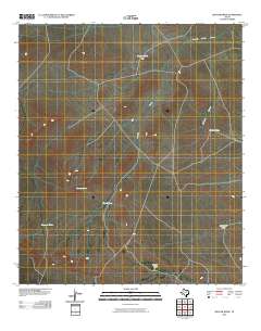 Baylor Draw 2010 topographic map thumbnail
