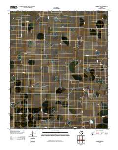 Dimmitt SW 2010 topographic map thumbnail