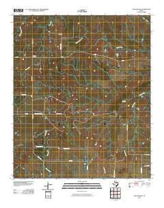 Cope Branch 2010 topographic map thumbnail