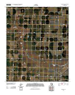 Lazbuddie 2010 topographic map thumbnail