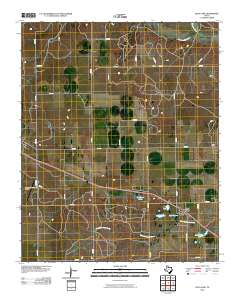 Lelia Lake 2010 topographic map thumbnail