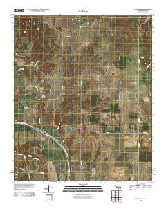 Leon North 2010 topographic map thumbnail