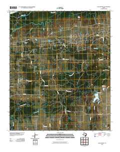 Hagansport 2010 topographic map thumbnail