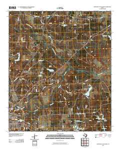 Northeast Palestine 2010 topographic map thumbnail