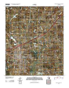 Mount Pleasant 2010 topographic map thumbnail