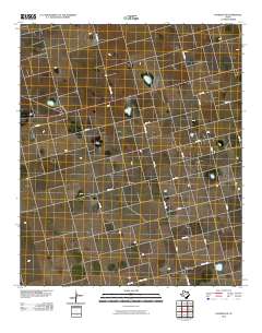 Patricia NE 2010 topographic map thumbnail