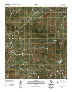 Pecan Wells 2010 topographic map thumbnail