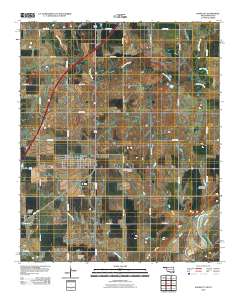 Randlett 2010 topographic map thumbnail