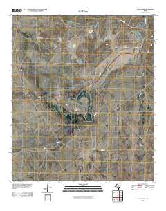 Toyah Lake 2010 topographic map thumbnail