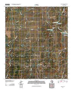 Trickham 2010 topographic map thumbnail