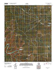 White Camp 2010 topographic map thumbnail
