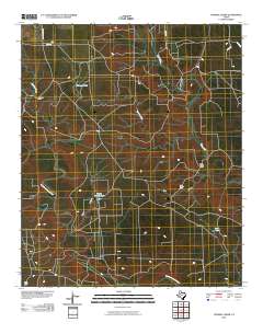 Twomile Creek 2010 topographic map thumbnail