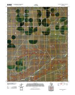 Coldwater Creek 2010 topographic map thumbnail