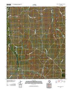 Skellytown NE 2010 topographic map thumbnail