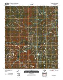 Snyder Lake 2010 topographic map thumbnail