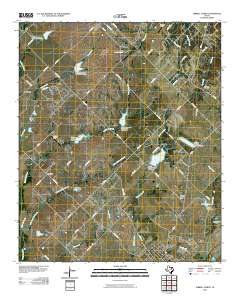 Terrell North 2010 topographic map thumbnail