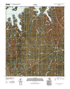 Southeast Lake Kemp 2010 topographic map thumbnail