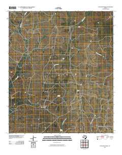 Coon Dive Draw 2010 topographic map thumbnail