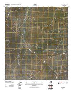 Crane SW 2010 topographic map thumbnail