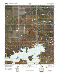 Lake Kickapoo 2010 topographic map thumbnail
