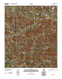 Bluff Dale 2010 topographic map thumbnail