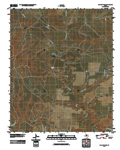 Boiling Spring 2010 topographic map thumbnail