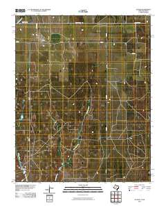Allison 2010 topographic map thumbnail