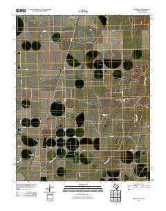 Bernstein 2010 topographic map thumbnail