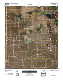 Brinson Ranch 2010 topographic map thumbnail