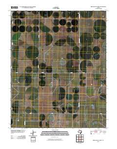 Bird Ranch Store 2010 topographic map thumbnail
