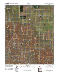 Bivins Channing Ranch 2010 topographic map thumbnail