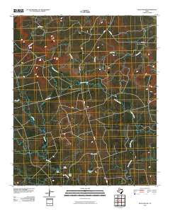 Beal Hollow 2010 topographic map thumbnail