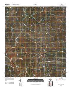 Buffalo Bluff 2010 topographic map thumbnail