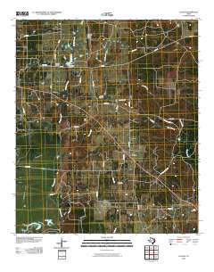 Cayuga 2010 topographic map thumbnail