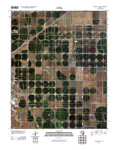 Dalhart East 2010 topographic map thumbnail