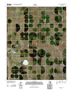 Cactus East 2010 topographic map thumbnail