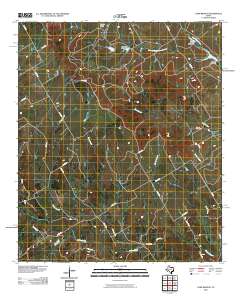 Camp Branch 2010 topographic map thumbnail
