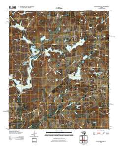 Coon Creek Lake 2010 topographic map thumbnail