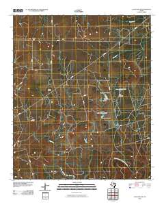 Coon Hollow 2010 topographic map thumbnail