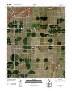 Capps Switch NW 2010 topographic map thumbnail