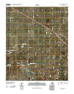 Brushy Mound 2010 topographic map thumbnail