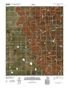 Dick Moore Canyon 2010 topographic map thumbnail