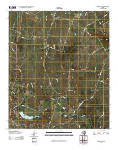 Eidson Lake 2010 topographic map thumbnail