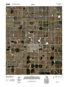 Dimmitt 2010 topographic map thumbnail