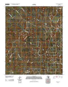 Eliasville 2010 topographic map thumbnail