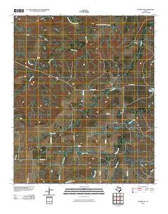 Dundee SW 2010 topographic map thumbnail