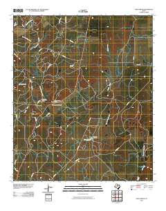 Fort Griffin 2010 topographic map thumbnail