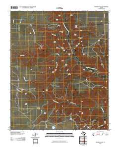 Fortress Cliff 2010 topographic map thumbnail