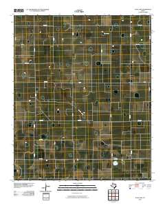 Julia Lake 2010 topographic map thumbnail